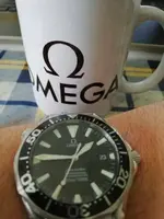 OMEGA SEAMASTER 2254 00038.webp