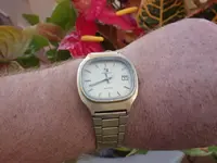 IMGP1455.webp