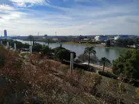 IMG_20191225_145853.webp