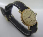 016_invicta 1215.webp