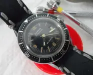 019_aureus portug.webp