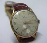 042_Blattina as 1130.webp
