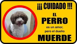 CARTEL PERRO 001.webp