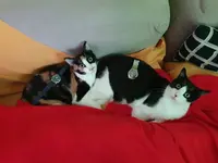Tara y Coco.webp