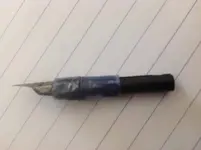 frankestain 002.webp