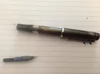 frankestain 006.webp