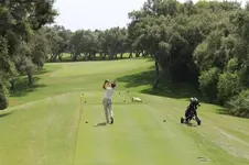 601491_10151271764898949_1195838420_n.webp