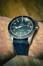 Omega 29.webp