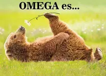 Oso flor 03.webp
