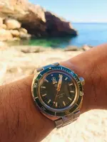 29010570 305 VOSTOK AMPHIBIA NEPTUNE _ 960727 _ HULK.webp