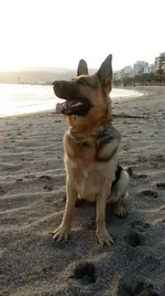 chula playA.webp