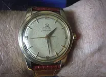 P1120137.webp
