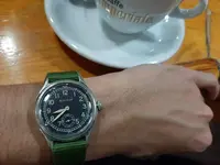 15803699279631161118480436173602.webp