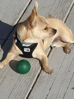 20190924_095426.webp