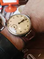 15799501557491297197635.webp