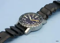 Extreme diver.webp