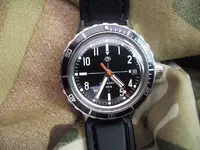 1255010d1382113256-new-vostok-amphibia-se-100_2774.webp