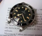 Marine Tudor sno.webp