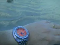 DSC01300 (640x480).webp