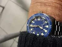 15811847217317009030491365770415.webp