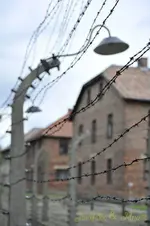 _DSC3312 [Post Auschwitz].webp