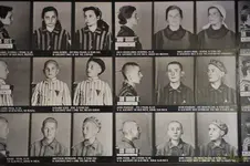 _DSC3343 [Post Auschwitz].webp