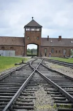 _DSC3300 [Post Auschwitz].webp