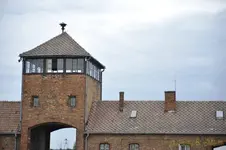 _DSC3412 [Post Auschwitz].webp