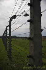 _DSC7615 [Post Auschwitz].webp