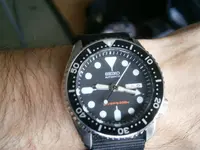 P2020245.webp