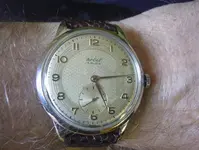 P1120159.webp