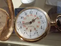 IMGP1460.webp