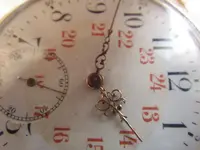 IMGP1472.webp