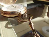 IMGP1471.webp