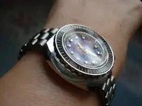 DSC02500.webp