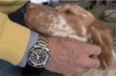 Seiko Cesar y Pol.webp