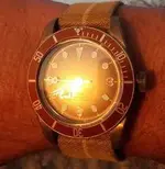Sunrise brown 1.webp