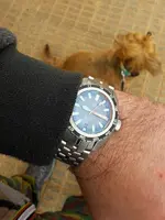 20200321_091621.webp