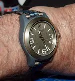 P3133216.webp