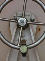 IMG_0410.webp IMG_0410.webp