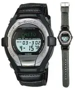 casio.webp