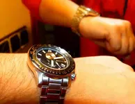 P1080680.webp