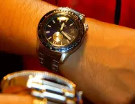 P1080681.webp