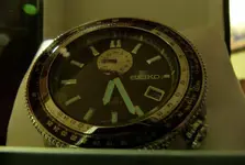 P1080689.webp