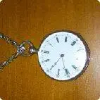 5134.webp