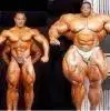 culturista-mc3a1s-grande.webp