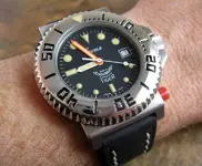 squale1.webp