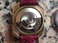 IMGP1568.webp