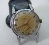 argus_phenix 161 watch (30).webp