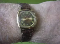 P1120271.webp